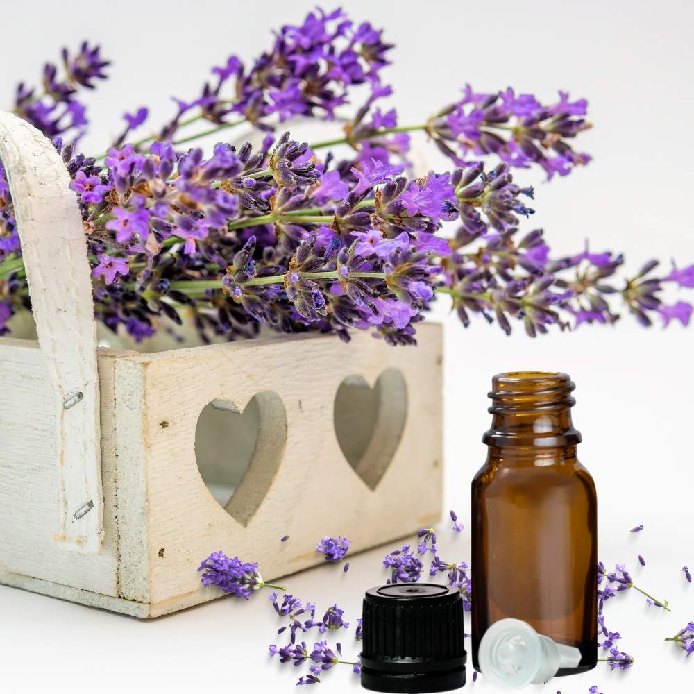 Essential Oil Lavender 5ml