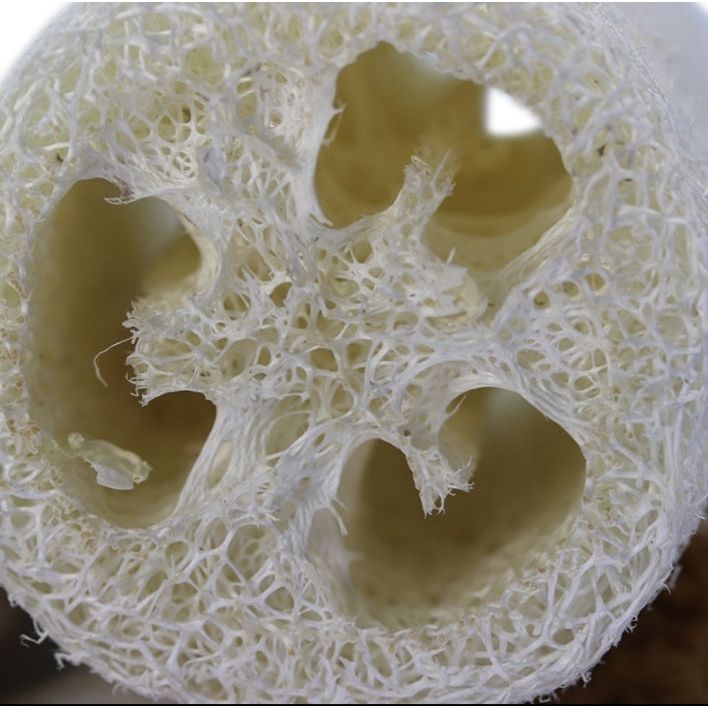 Anoint Natural Loofah Sponge