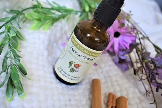 Nudi Point "Damage Control" - Joint & Muscle Relief Spray