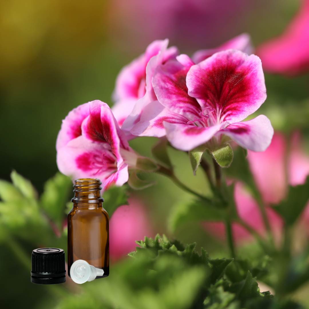 Essential Oil Geranium 25ml