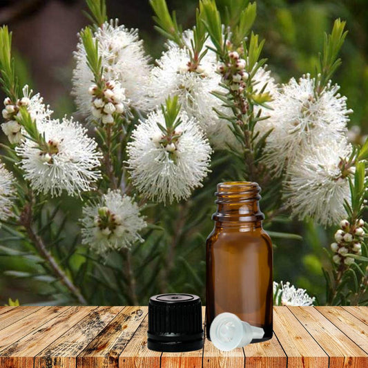 Essential Oil Tea Tree 25ml