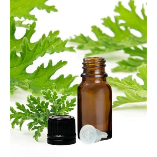 Essential Oil Citronella 10ml